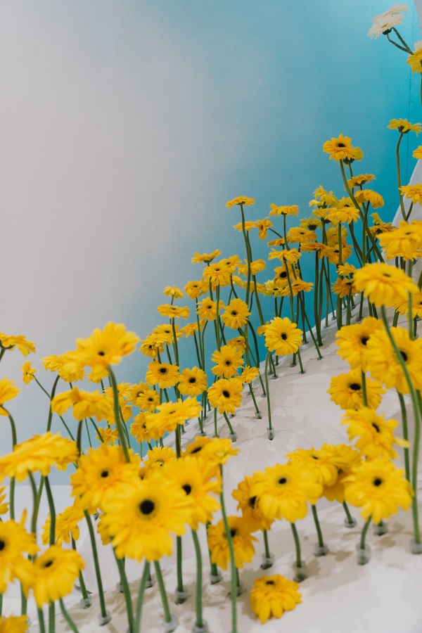 Florists JENIVA Design