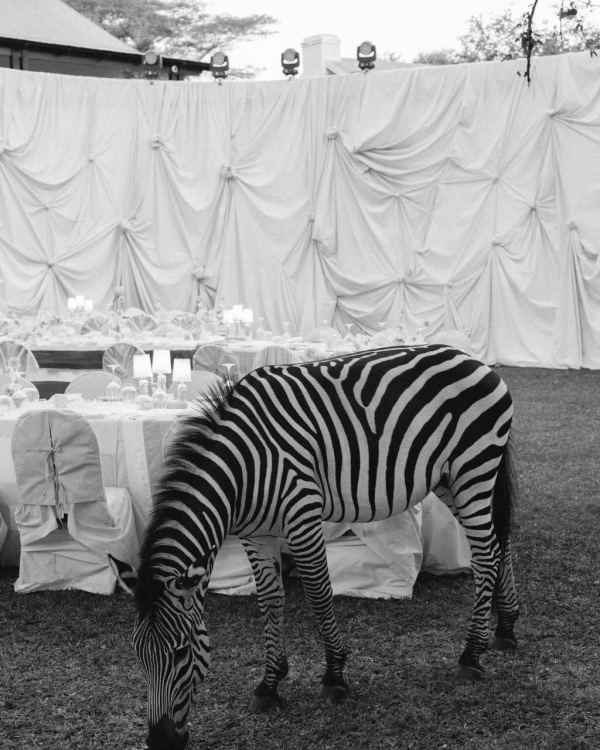 Editor’s Picks: The 20 Most Beautiful Weddings That Defined 2025