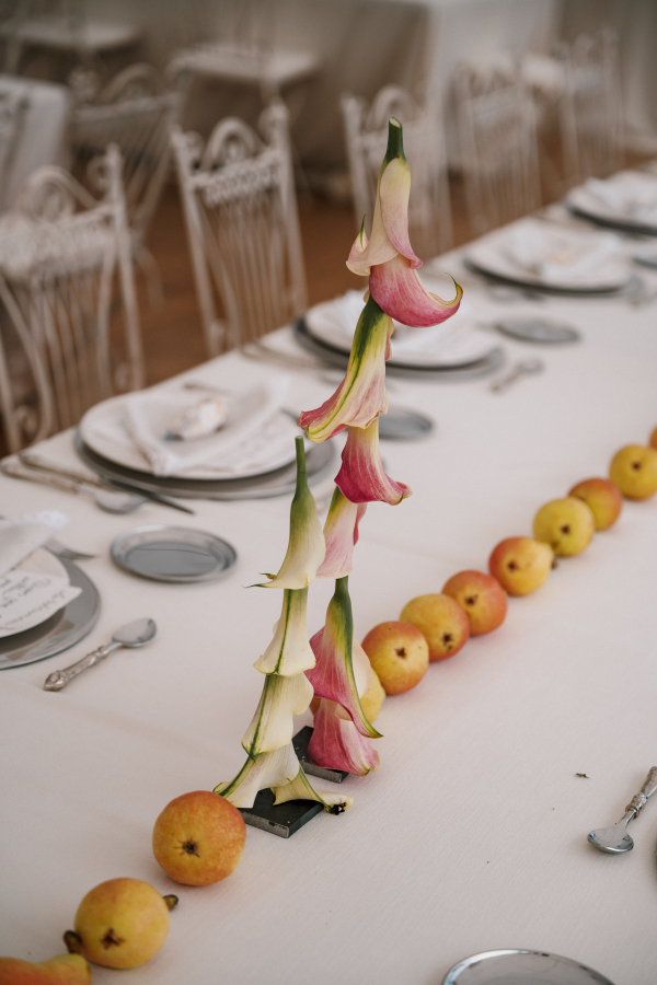 Planners Martina Por El Norte