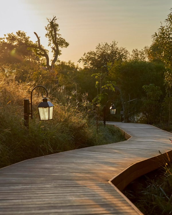 14 Luxury African Safari Lodges & Resorts for an Unforgettable Honeymoon