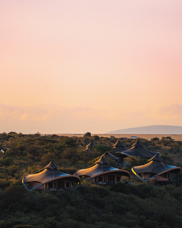 14 Luxury African Safari Lodges & Resorts for an Unforgettable Honeymoon