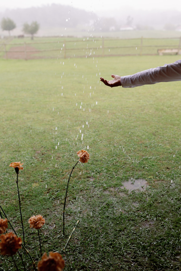 Photographers Couplet Photography