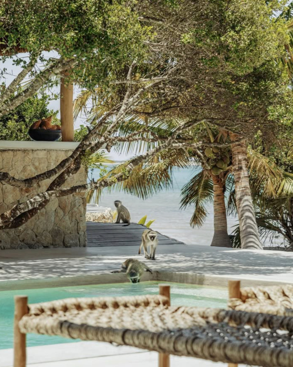 The Top Travel Trends for 2026 According to Pinterest