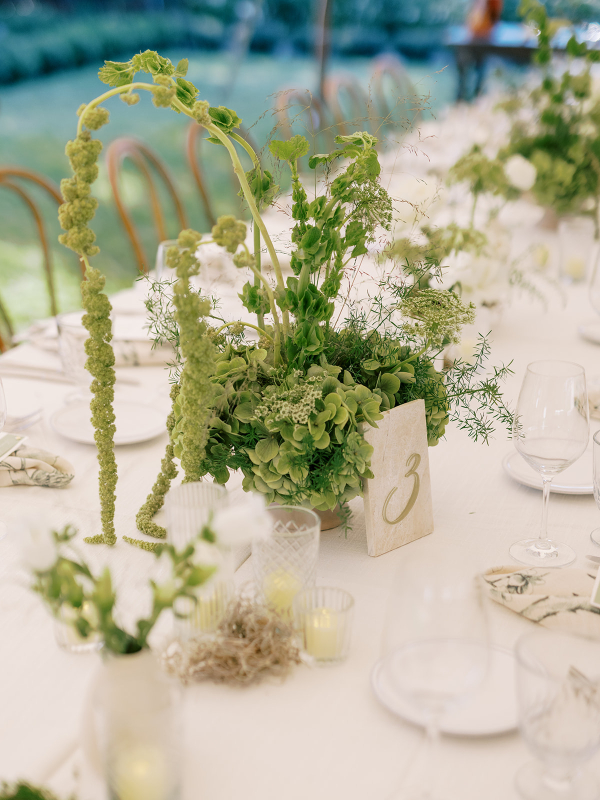 Planners Chloe Alise Events