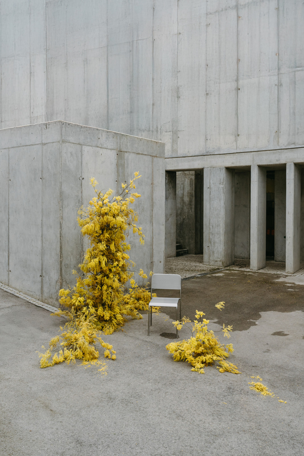 Planners Lovers Studio