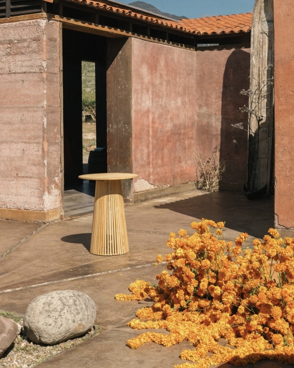 Inside Alix Traeger & Zoya Biglary’s Vibrant Wedding in Oaxaca, Mexico