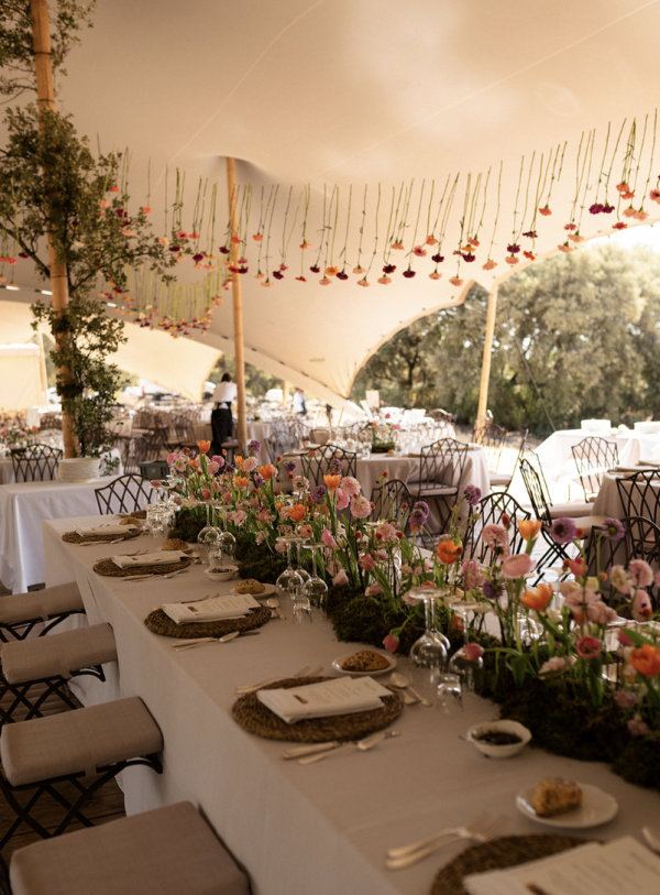 Planners Martina Por El Norte