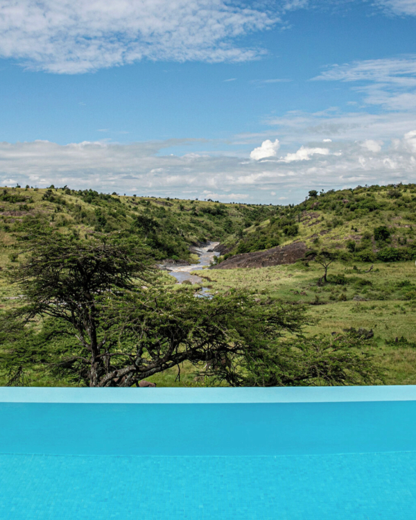 14 Luxury African Safari Lodges & Resorts for an Unforgettable Honeymoon
