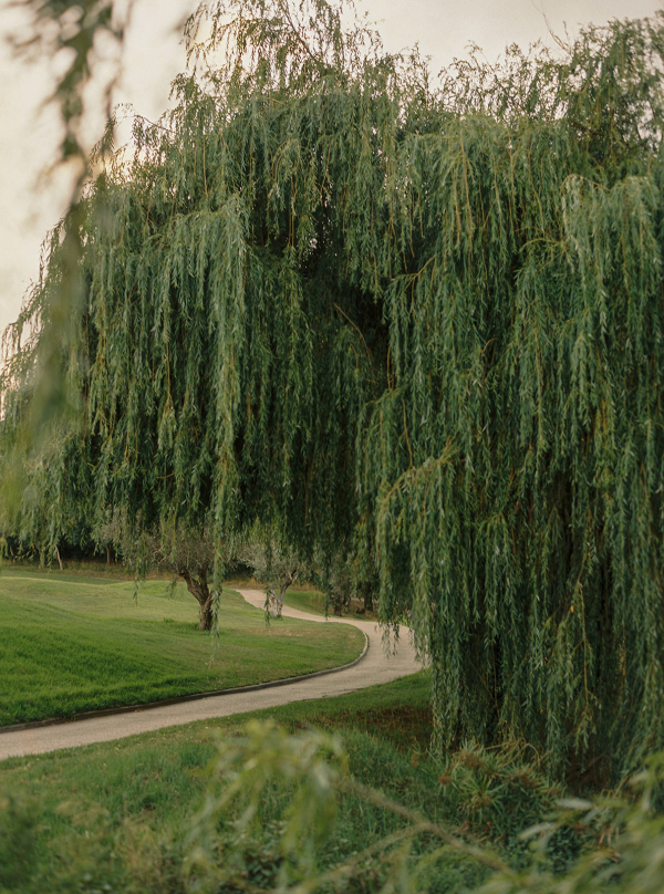 Photographers Alice Vicente