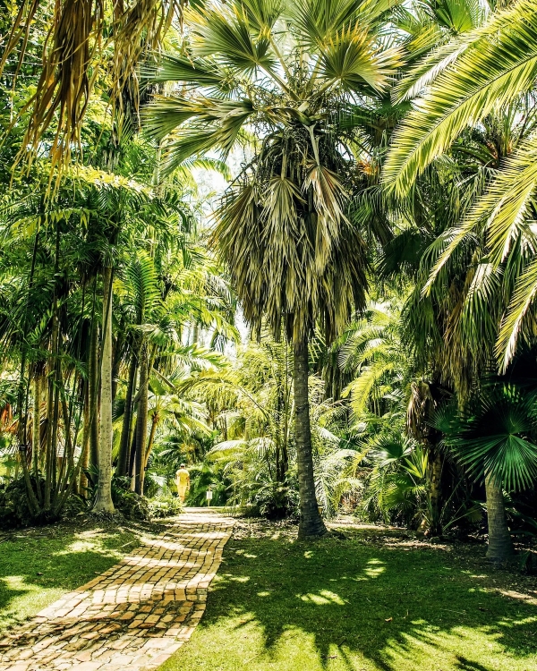 The World’s 10 Most Googled Travel Destinations of 2025