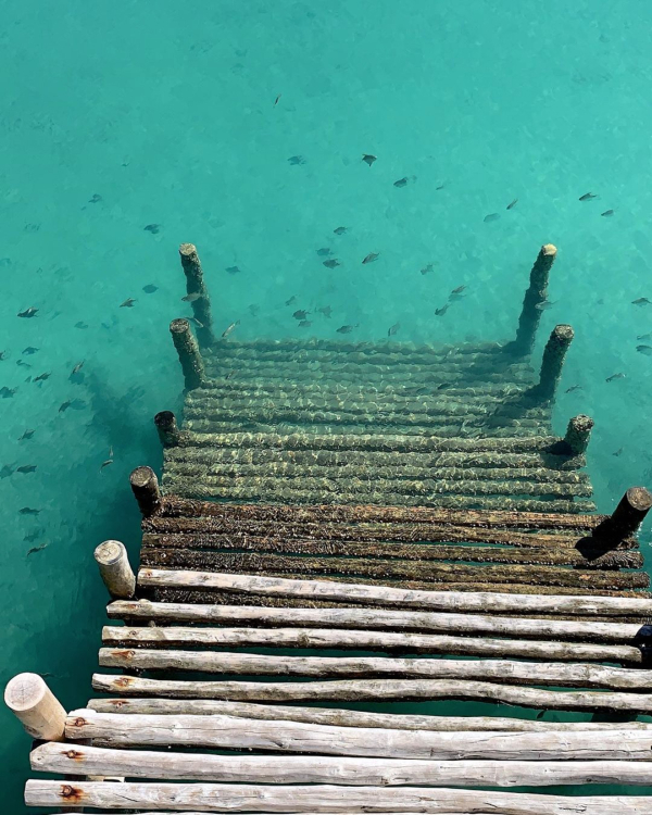 The Top Travel Trends for 2026 According to Pinterest