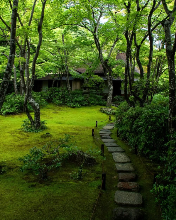 The Top Travel Trends for 2026 According to Pinterest