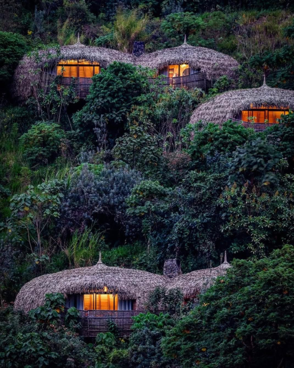 14 Luxury African Safari Lodges & Resorts for an Unforgettable Honeymoon