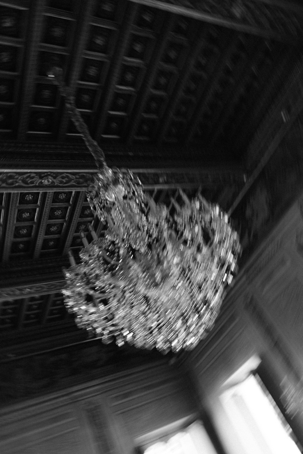 Photographers Lynn Shapiro