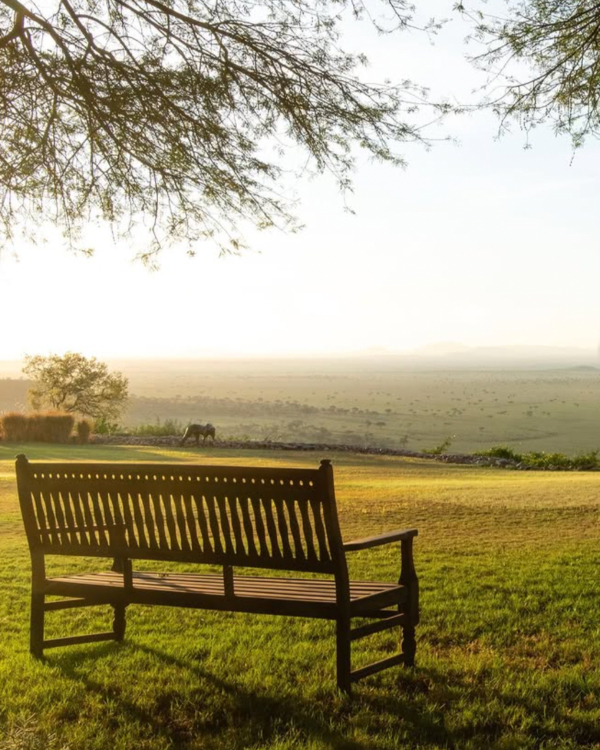 14 Luxury African Safari Lodges & Resorts for an Unforgettable Honeymoon