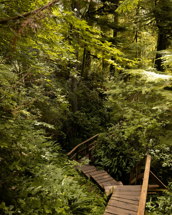 14 Coolcation Destinations Worth Escaping to in 2026