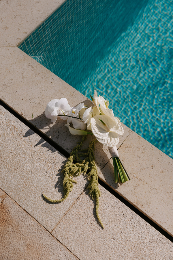 Photographers Lynn Shapiro