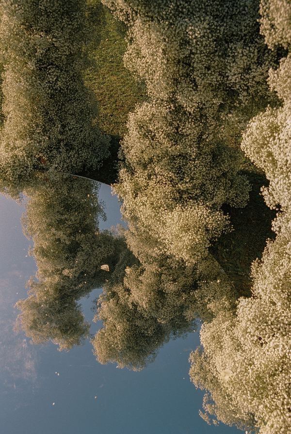 Photographers Alice Vicente