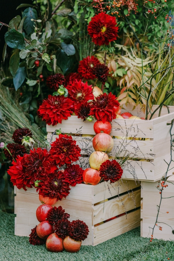 Florists Justin Reis Designs