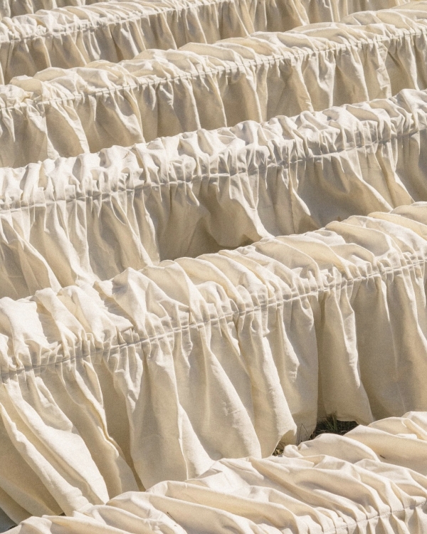 Inside Alix Traeger & Zoya Biglary’s Vibrant Wedding in Oaxaca, Mexico