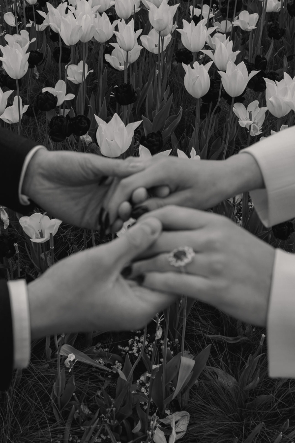 Photographers Luke Bell