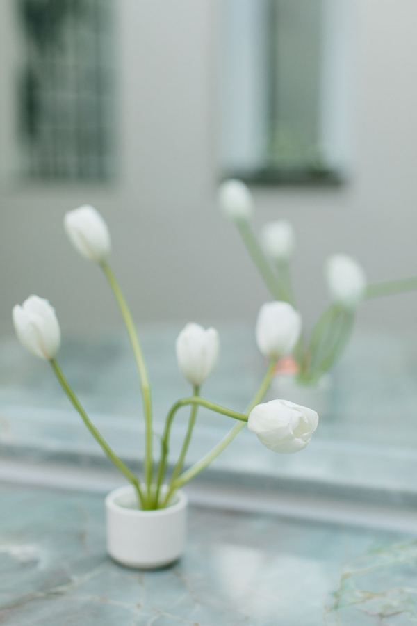 Florists Narcissus & Echo