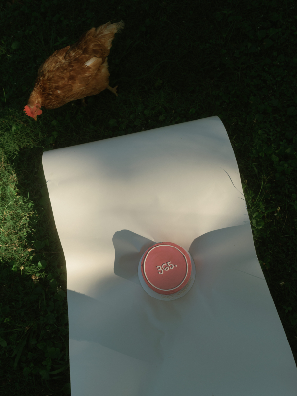 Photographers Taylor English