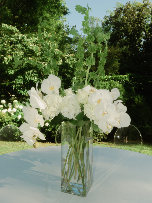 Photographers Taylor English