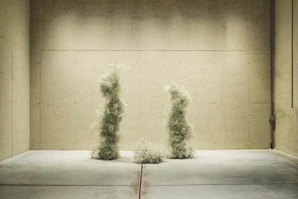 Florists Motif floral