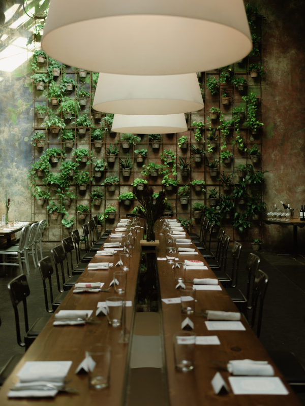 Photographers Taylor English