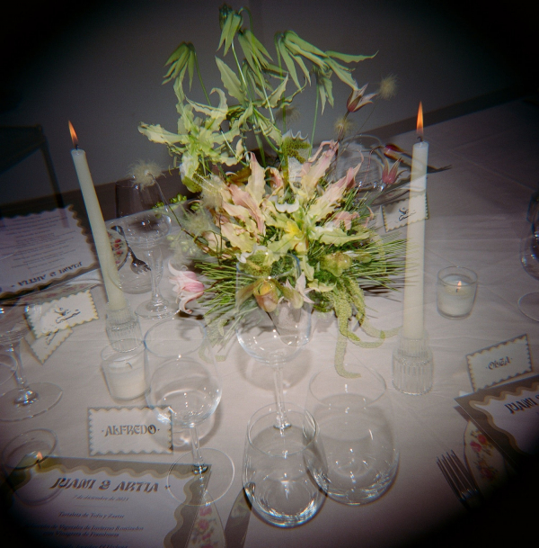 Photographers Kindred