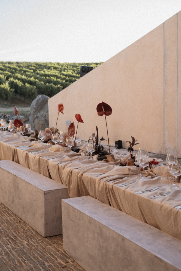 A Contemporary Winery Wedding