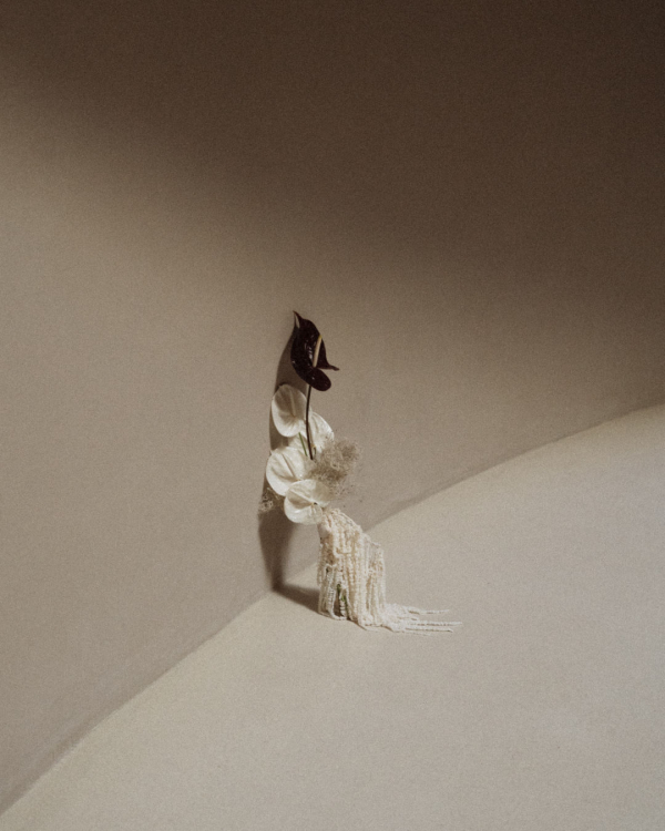 A Contemporary Winery Wedding