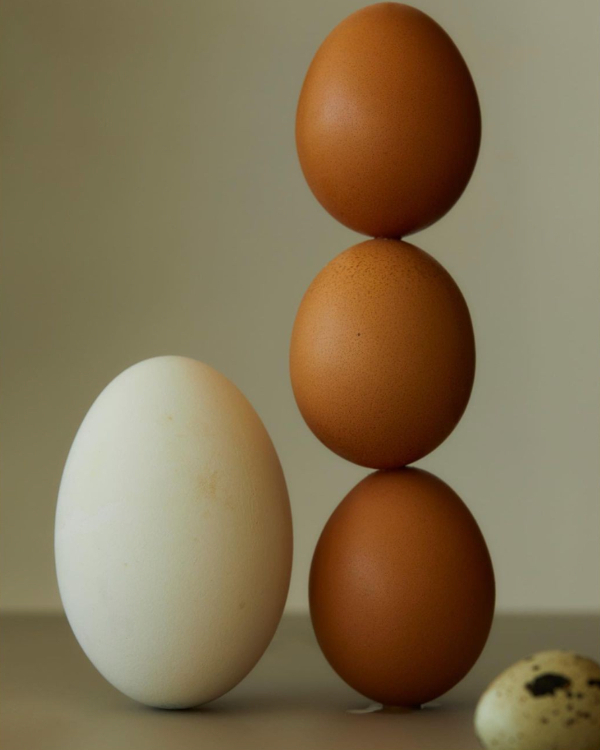 A Step-by-Step Guide to Growing Out Your Hair Before Your Wedding