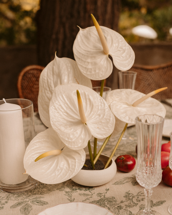 An Enchanting Indian Wedding Amongst a Coastal Vineyard Villa in Spain
