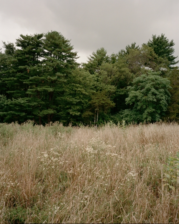 A Wild Woodland Wedding in Upstate New York