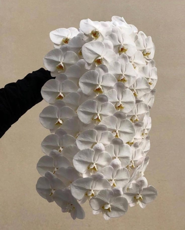 10 Flower Varieties Trending for 2025 Weddings