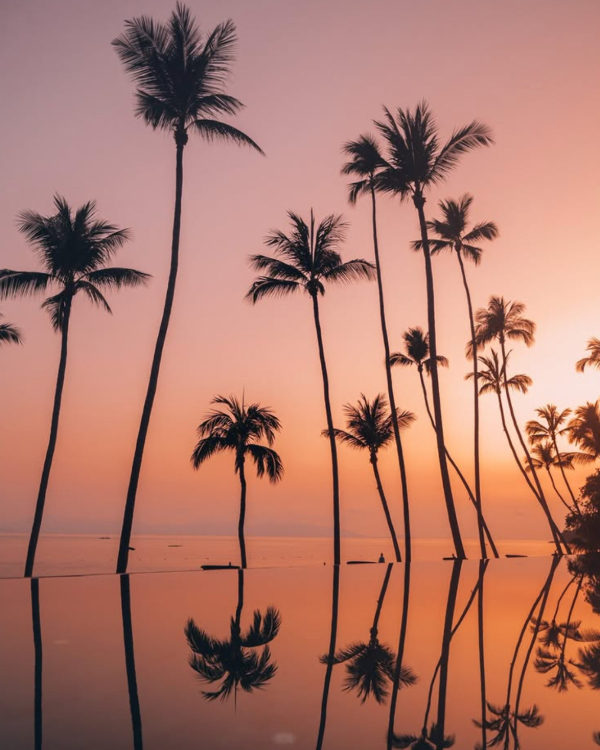 Where Was The White Lotus Season 3 Filmed? All the Stunning Locations Revealed