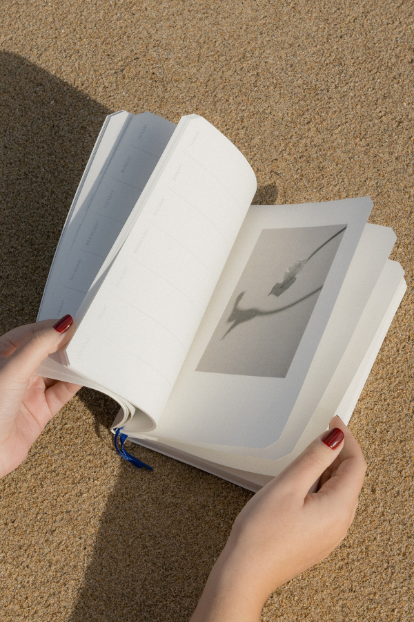 Stationery NoNaked Design