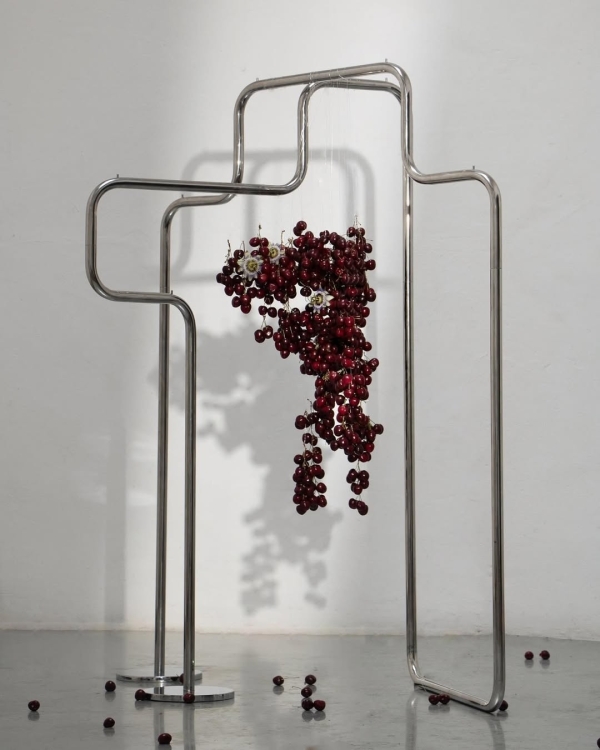 30 Wedding Arch Ideas for a Picture-Perfect Ceremony in 2025