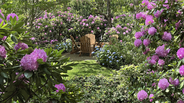 Venues PUBLIC Hotel New York