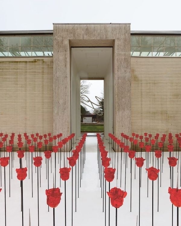 10 Flower Varieties Trending for 2025 Weddings