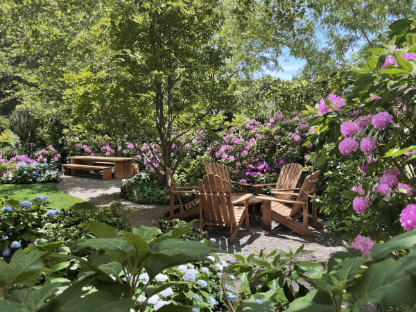 Venues PUBLIC Hotel New York