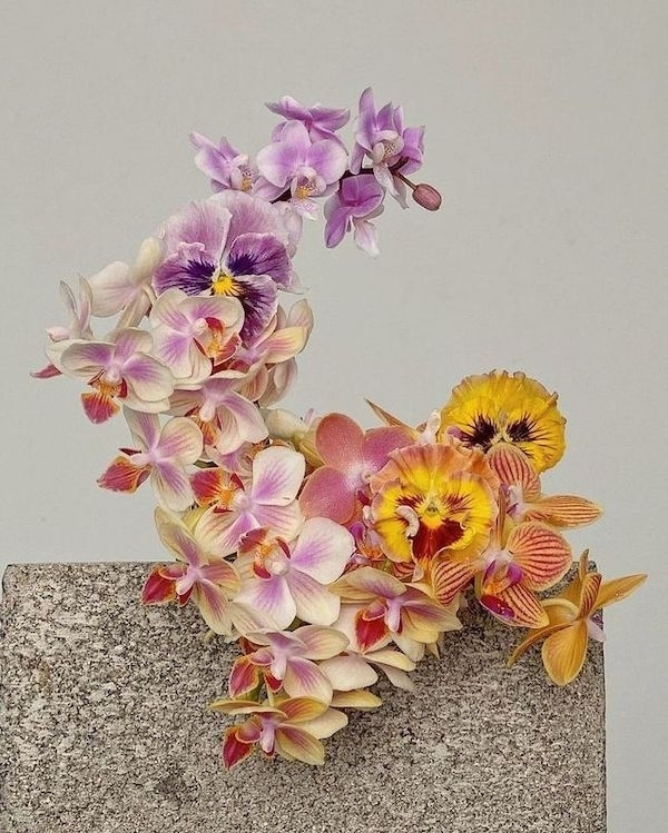 10 Flower Varieties Trending for 2025 Weddings