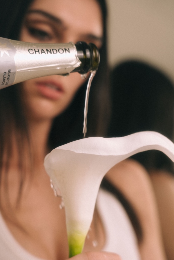 Florists Bloomer Studios