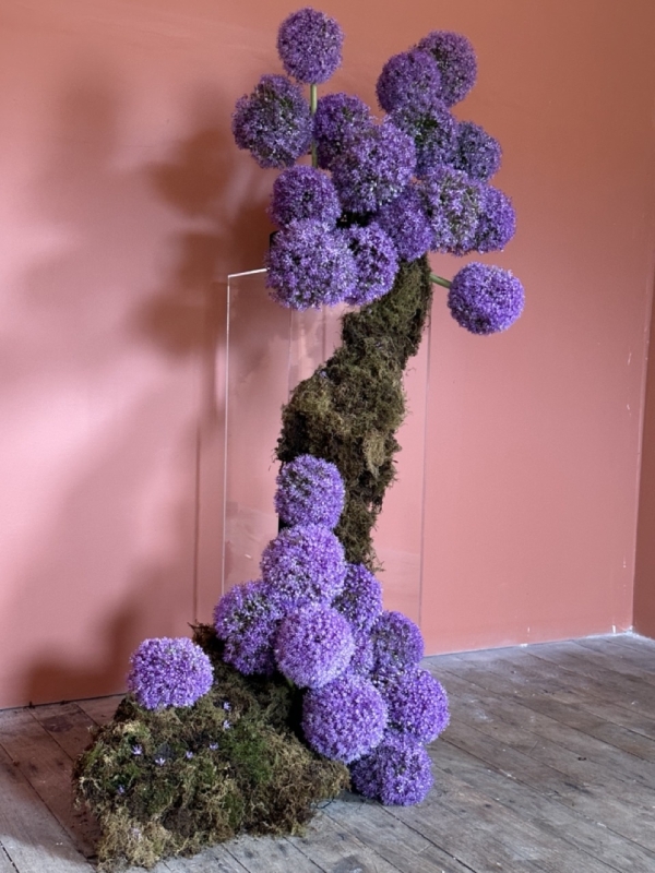 Florists Bloomer Studios