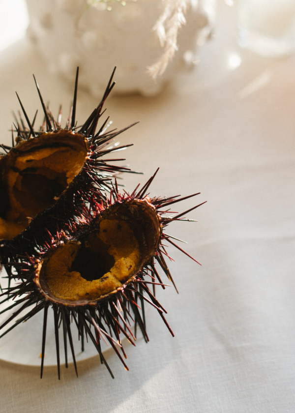 Planners Ashley Smith