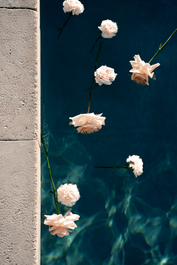 Photographers Marion Co Photography