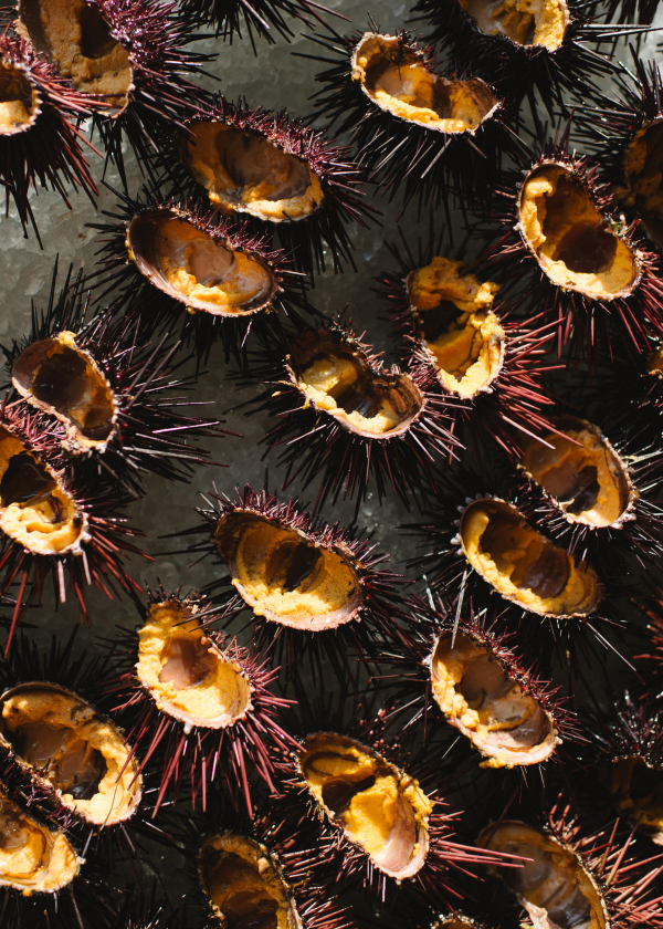 Planners Ashley Smith