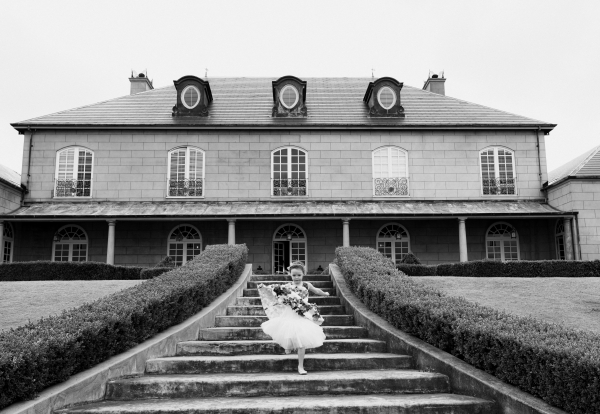 Videographers The New Old